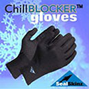 Hanz Chill Blocker Insulated/Waterproof Glove for Letter Car